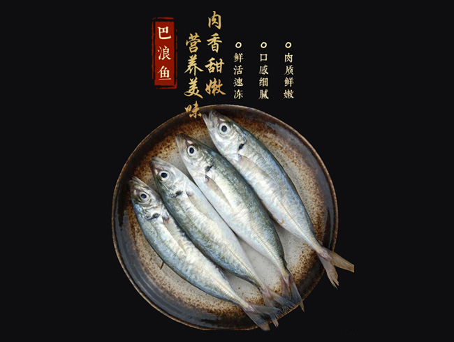 冰鲜巴浪鱼