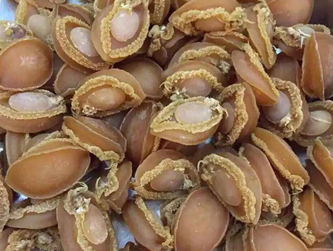 大连干鲍(100头)