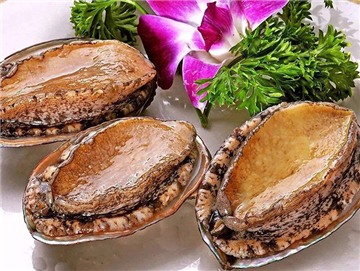 Chilled abalone