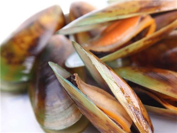 New Zealand full-shell mussels