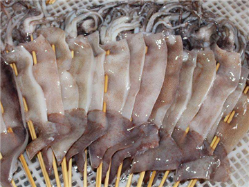 Squid plate skewers